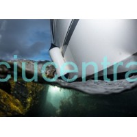 Pripučiamas Polyform F serijos fenderis Pripučiamas Polyform F serijos fenderis